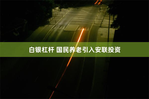 白银杠杆 国民养老引入安联投资