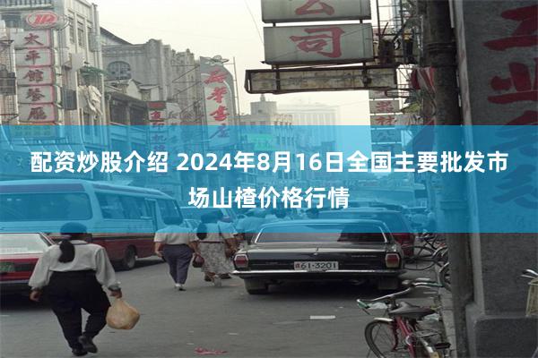 配资炒股介绍 2024年8月16日全国主要批发市场山楂价格行情