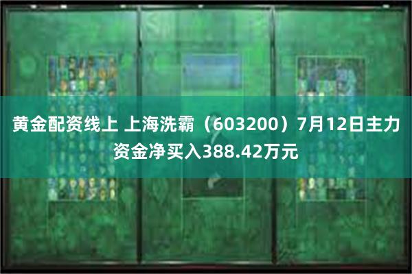 黄金配资线上 上海洗霸（603200）7月12日主力资金净买入388.42万元