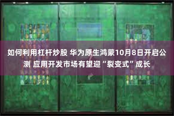 如何利用杠杆炒股 华为原生鸿蒙10月8日开启公测 应用开发市场有望迎“裂变式”成长