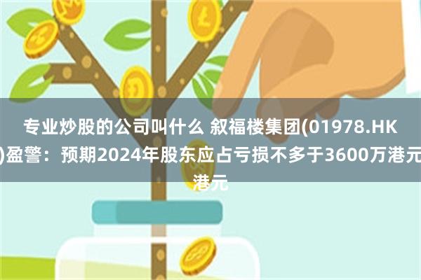 专业炒股的公司叫什么 叙福楼集团(01978.HK)盈警：预期2024年股东应占亏损不多于3600万港元